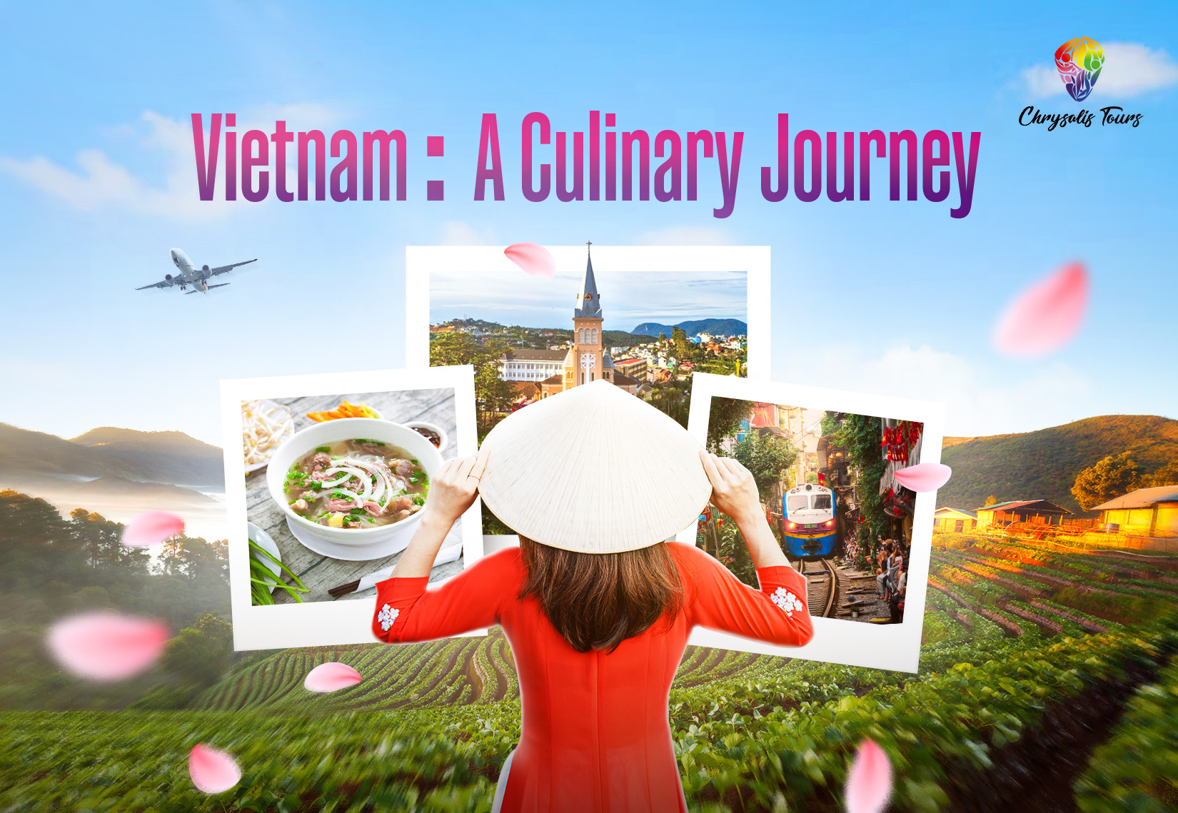 Vietnam: A Culinary Journey